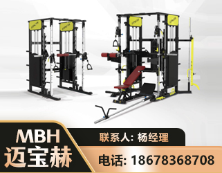 宜昌多功能综合训练器